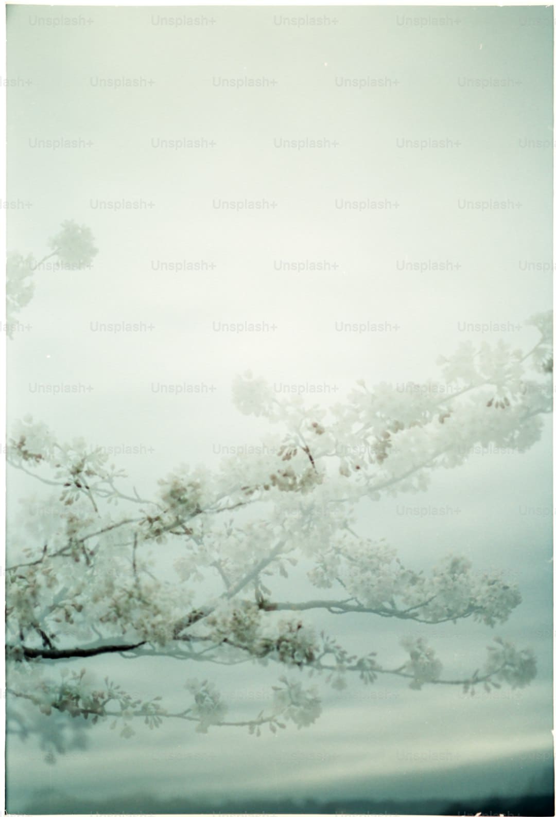 http://n.sinaimg.cn/news/transform/w600h400/20180307/0B6T-fxipenp2078463.jpg?zdy